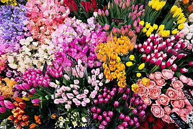 传闻：今年的TGA上可能公布《耻辱3》